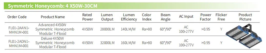 Symmetric Flood Light